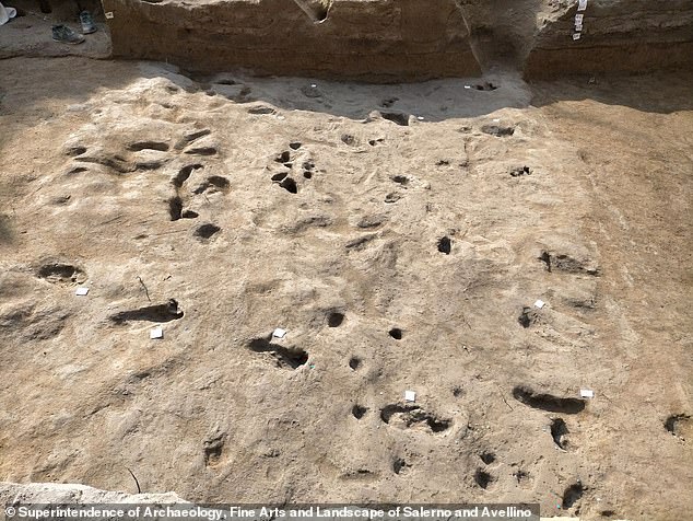 Las huellas humanas y animales descubiertas cerca de Pompeya revelan una instantánea de un escape de la Edad de Bronce cuando estalló el Monte Vesubio