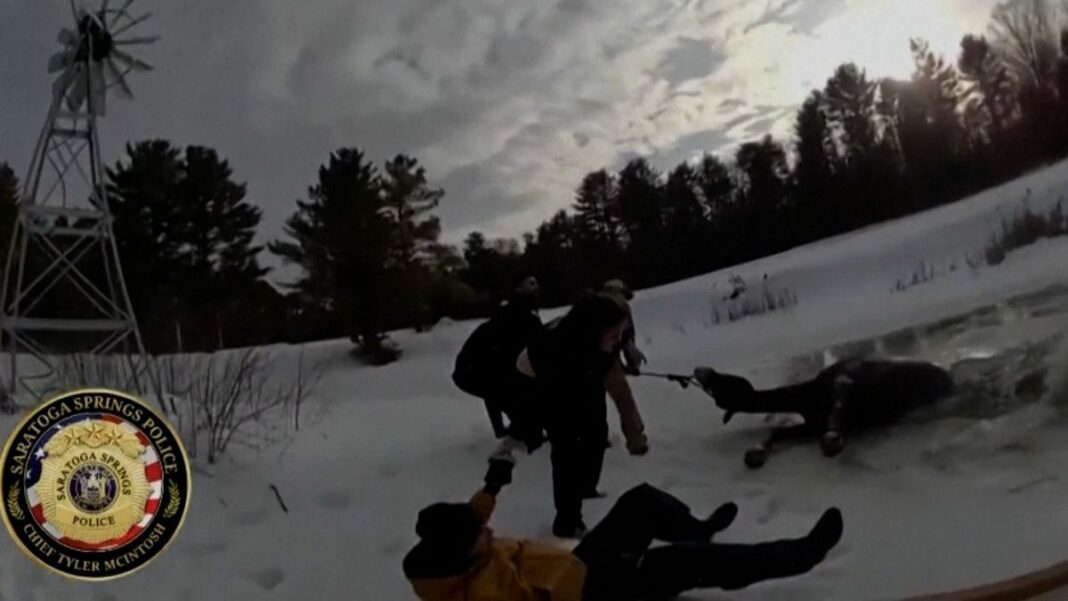 Video. Caballo rescatado de Pond en Nueva York por la policía y los vecinos
