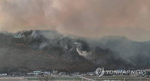 (3rd LD) Gov&apos;t declares state of disaster for wildfires in southeastern region