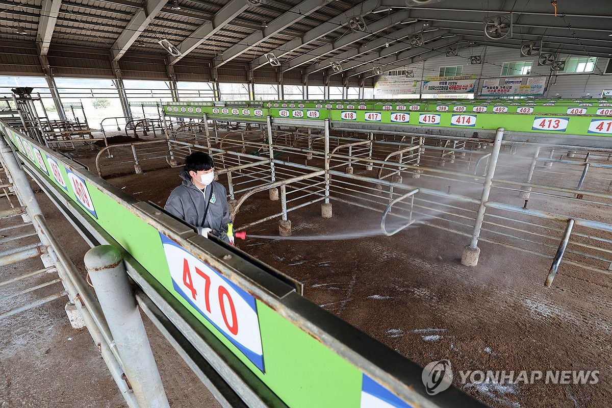 S. Korea confirms additional foot-and-mouth disease case, total at 8