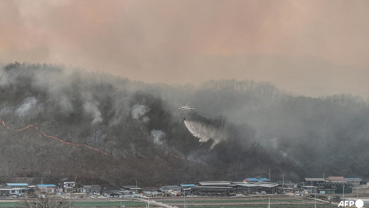 Dos asesinados en el incendio forestal de Corea del Sur, cientos dijeron que evacuar
