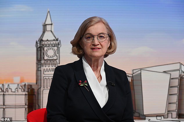 Amanda Spielman (en la foto), quien fue Inspector Jefe de la Vigilizadora de las Escuelas de 2017 a 2023, ha pedido a Bridget Phillipson que elimine las reformas propuestas