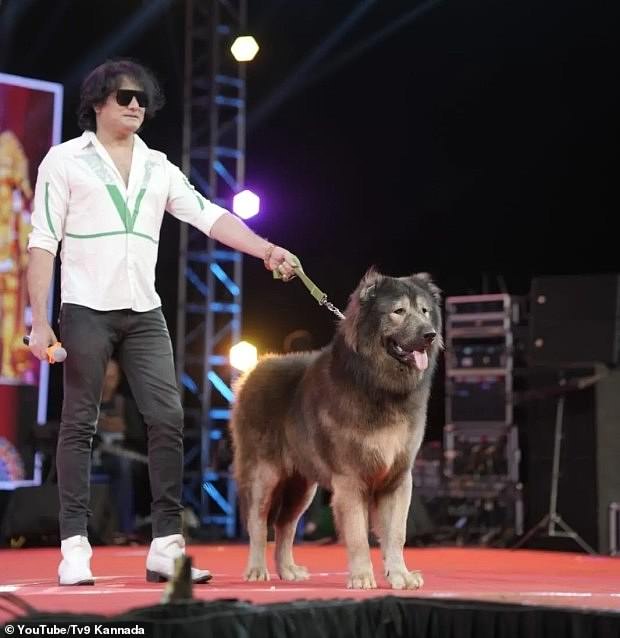 Un perro que se dice que es el más caro del mundo ha sido comprado por £ 4.4 millones