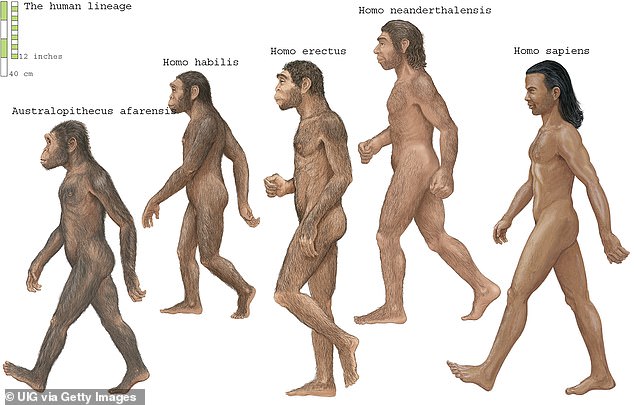 Los científicos han descubierto un 'capítulo oculto' en la evolución humana, y sugiere que nuestra historia es mucho más compleja de lo que pensábamos