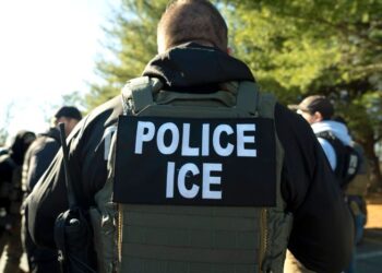 4 acusado a medida que los funcionarios estadounidenses interrumpen la operación de fraude matrimonial: hielo