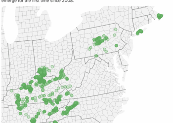 Mapa de los condados estadounidenses que muestran dónde surgirá la cría XIV en 2025.