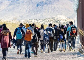 El Secretario de Trabajo advierte a los Estados podrían perder fondos federales si los inmigrantes ilegales obtienen beneficios de desempleo