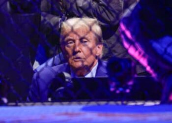 El presidente electo Donald Trump observa una pelea de UFC 309 en el Madison Square Garden en Nueva York, el 16 de noviembre de 2024.