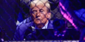 El presidente electo Donald Trump observa una pelea de UFC 309 en el Madison Square Garden en Nueva York, el 16 de noviembre de 2024.
