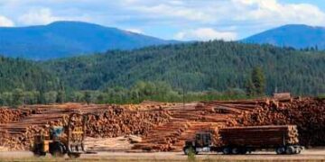Los trabajadores agregan troncos recién cosechados a las pilas en un patio de troncos de la compañía maderera cerca de Clarkia, Idaho.