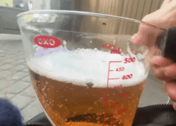 Cerveza en una taza de medición.