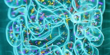 Diferentes proteínas dietéticas alteran el entorno del microbioma intestinal