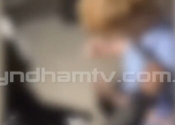 Imagen borrosa de una pelea en McDonald's.