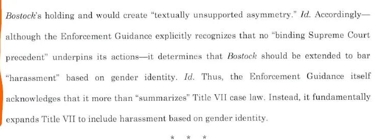 El juez Kacsmaryk dictaminando que las personas homosexuales y trans pueden ser acosadas sin repercusión bajo el Título VII.