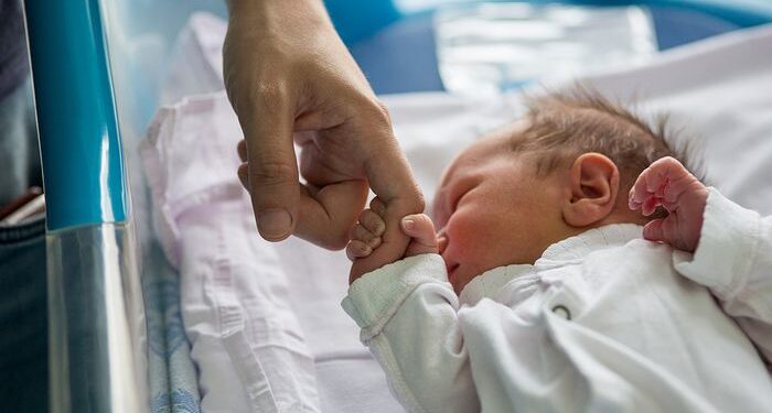 Estudio: el cordón umbilical contiene respuestas a una enfermedad futura