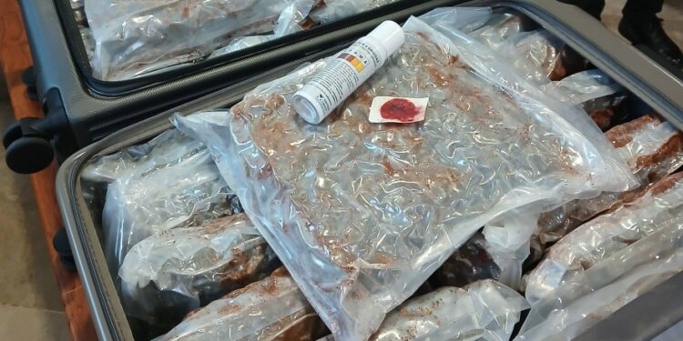 Maltas llenas de paquetes de cannabis incautados en un aeropuerto.