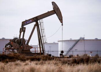 Un gato de bomba opera cerca de una reserva de petróleo crudo en el campo petrolero de la cuenca del Pérmico cerca de Midland, Texas, el 18 de febrero de 2025. (Eli Hartman/Reuters)