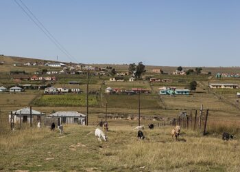 Village en Cacadu, provincia oriental, con cabras pastando en primer plano.