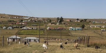 Village en Cacadu, provincia oriental, con cabras pastando en primer plano.