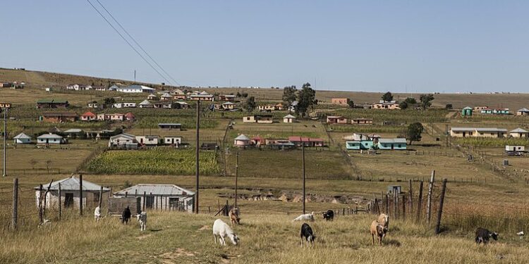 Village en Cacadu, provincia oriental, con cabras pastando en primer plano.
