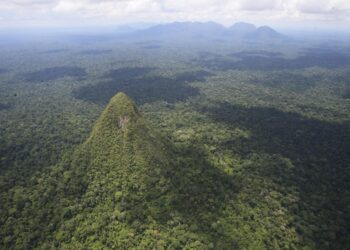 Vista aérea de una cordillera boscosa.