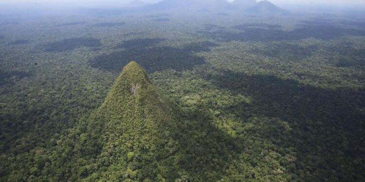 Vista aérea de una cordillera boscosa.