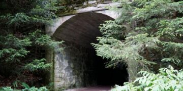 Entrada a un túnel oscuro cubierto de vegetación.