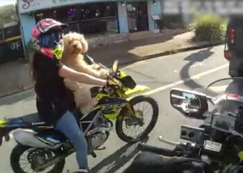 Mujer montando motocicleta con perro.