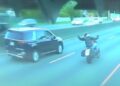 Imágenes de DashCam de una minivan que golpea un motociclista.