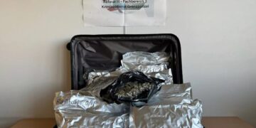 La maleta que contiene 11.3 kilogramos de cannabis incautado en un aeropuerto.