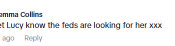 Captura de pantalla de un comentario en las redes sociales: "Hágale saber a Lucy que los federales la están buscando xxx" - Gemma Collins.