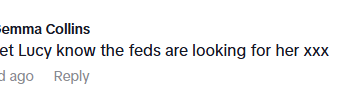 Captura de pantalla de un comentario en las redes sociales: "Hágale saber a Lucy que los federales la están buscando xxx" - Gemma Collins.