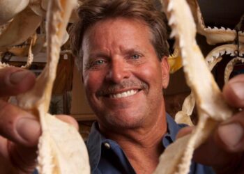 Un hombre sosteniendo una gran mandíbula de tiburones.