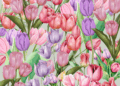 Ilustración de tulipanes rosados ​​y morados.