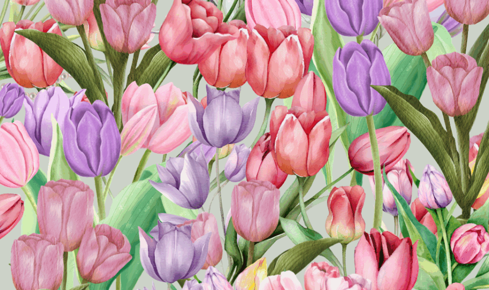 Ilustración de tulipanes rosados ​​y morados.