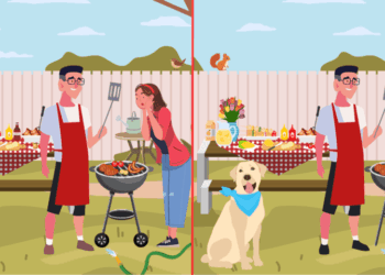 Ilustración de un rompecabezas Find-the Diferences que muestra dos escenas casi idénticas de una barbacoa familiar.