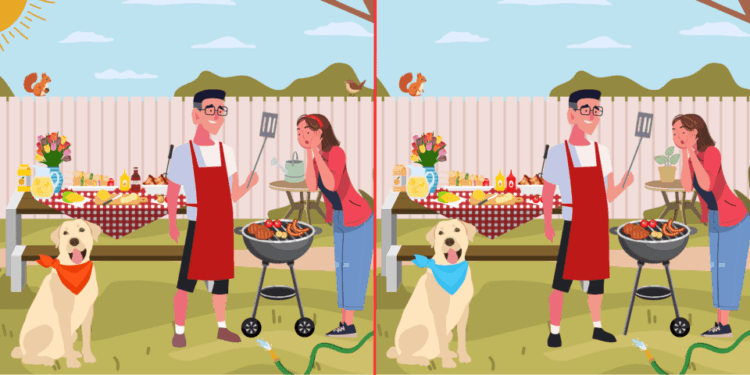 Ilustración de un rompecabezas Find-the Diferences que muestra dos escenas casi idénticas de una barbacoa familiar.