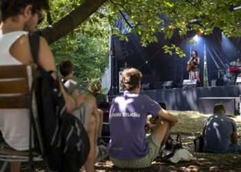 Miembros de la audiencia sentados debajo de un árbol escuchando a un músico actuando en un festival de música al aire libre.