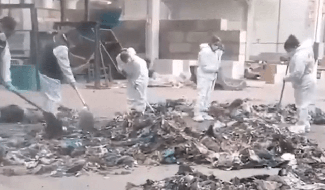 Personas en trajes protectores que limpian los escombros.