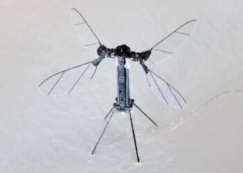 La China de Robo-Sting presenta un pequeño y aterrador dron del tamaño de mosquitos para ser utilizado para espiar y 'misiones especiales' mientras se colan en las casas,