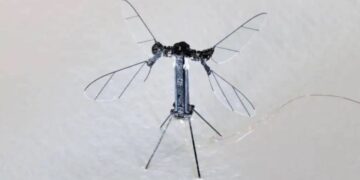 La China de Robo-Sting presenta un pequeño y aterrador dron del tamaño de mosquitos para ser utilizado para espiar y 'misiones especiales' mientras se colan en las casas,