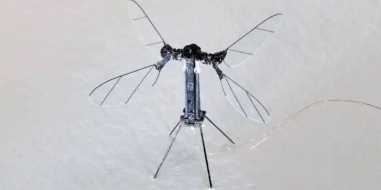La China de Robo-Sting presenta un pequeño y aterrador dron del tamaño de mosquitos para ser utilizado para espiar y 'misiones especiales' mientras se colan en las casas,