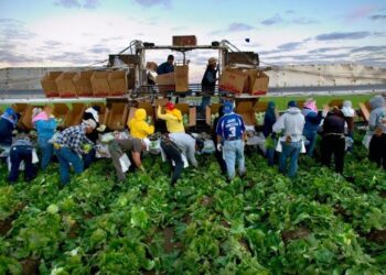 DOL suspende la aplicación de la regla del trabajador agrícola de la era Biden