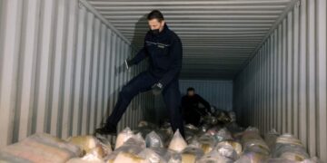 Funcionarios de aduanas que inspeccionan un contenedor de envío lleno de paquetes de cocaína incautada.