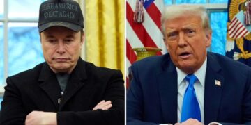 El almizcle reflexiona sobre el nuevo partido político en medio de la disputa con Trump