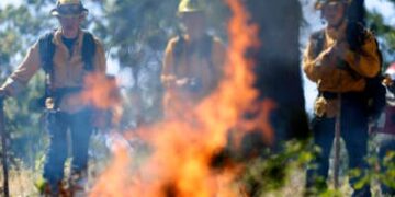 Los bomberos monitorean una quemadura controlada en el Pacific Union College Forest el 15 de mayo de 2025 en Angwin, California.