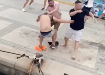 Una pelea cerca de un muelle de botes que resultó en que un hombre fuera empujado al agua.