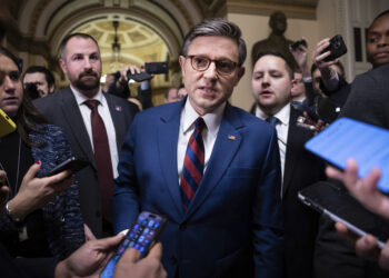 El presidente Johnson minimiza la influencia de Musk, sugiere que los republicanos aprobarán un proyecto de ley de presupuesto