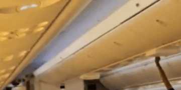 Airplane Passenger Stening Luggage en Binhead Bin.