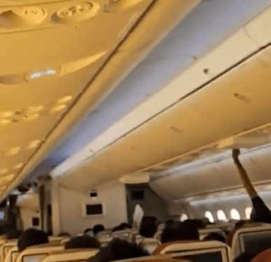 Airplane Passenger Stening Luggage en Binhead Bin.